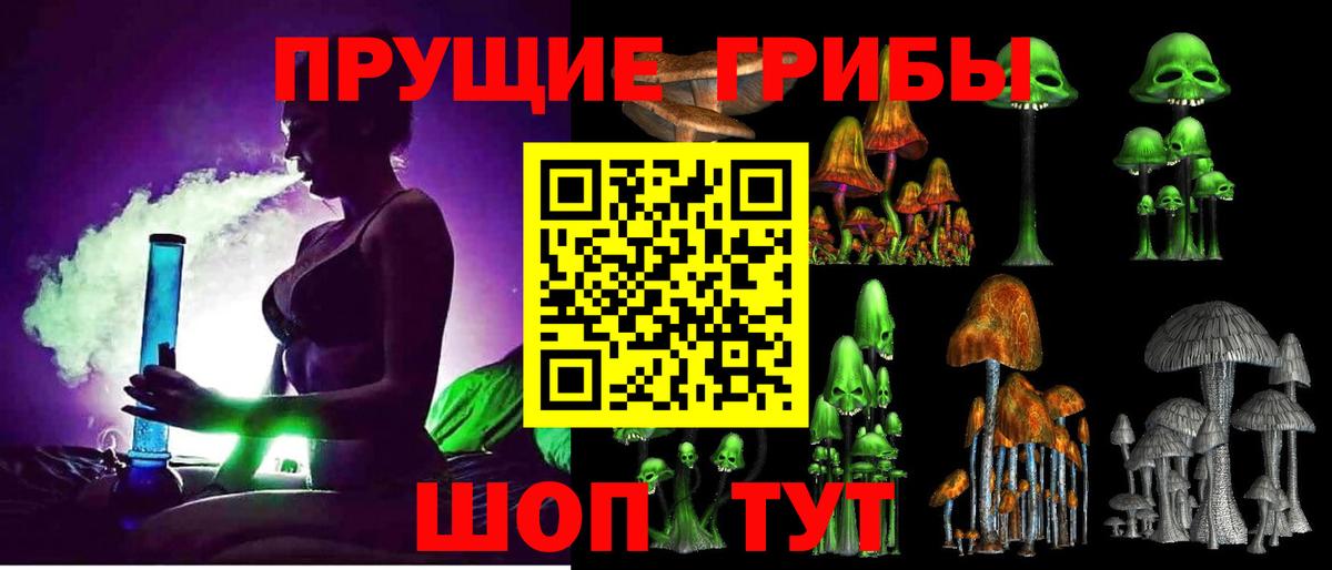 Псилоцибиновые грибы GOLDEN TEACHER Новозыбков